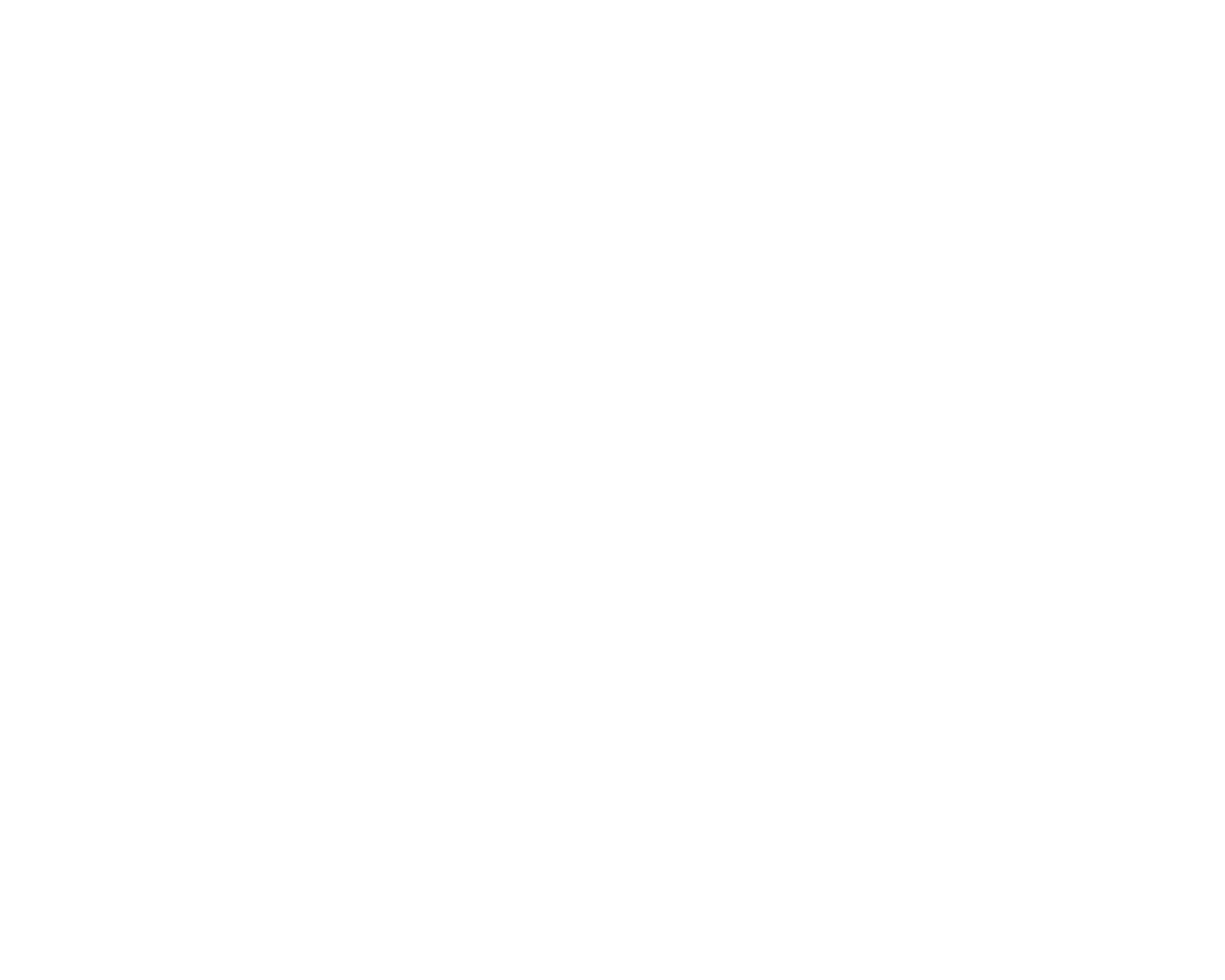AME Portraits Logo